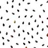 Multiple watermelon seeds, composition isolated over the white background, top view