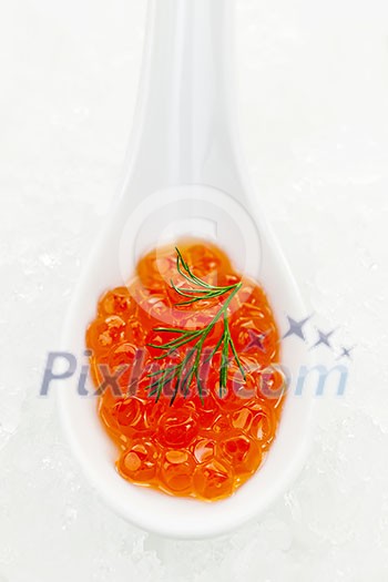 Closeup of caviar with dill garnish in white spoon on ice Closeup of caviar with dill garnish in white spoon on ice