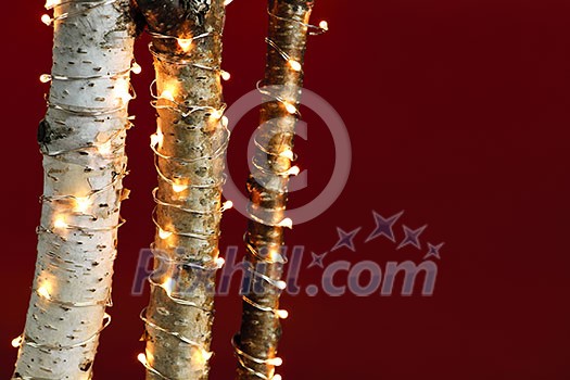 Red background with birch trees wrapped in Christmas lights Red background with birch trees wrapped in Christmas lights