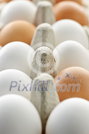 Closeup of white and brown eggs in carton Closeup of white and brown eggs in carton