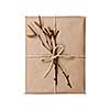 Simple gift package in brown paper decorated with birth branches isolated on white background