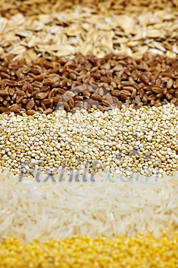 Background of different kinds of grains close up Background of different kinds of grains close up