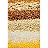 Background of different kinds of grains close up