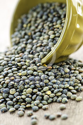 Bowl full of raw french green lentils Bowl full of raw french green lentils