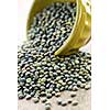 Bowl full of raw french green lentils