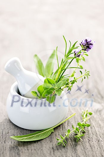 Healing herbs in white ceramic mortar and pestle Healing herbs in white ceramic mortar and pestle