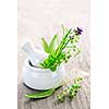 Healing herbs in white ceramic mortar and pestle