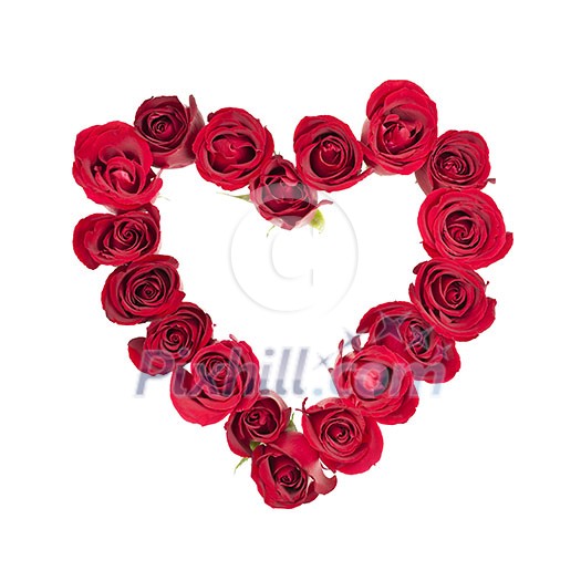 Heart made of fresh red roses on white background Heart made of fresh red roses on white background