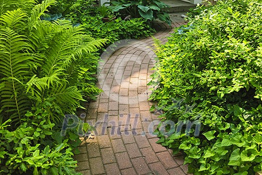 Paved brick path in lush green summer garden Paved brick path in lush green summer garden