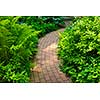 Paved brick path in lush green summer garden