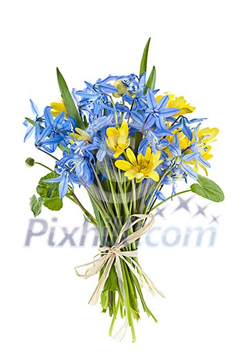 Tied bouquet of blue and yellow spring flowers isolated on white background Tied bouquet of blue and yellow spring flowers isolated on white background