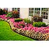 Flowerbed of colorful flowers against wall with windows