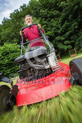 Senior man mowing the lawn in his garden (selective focus; shallow DOF) Senior man mowing the lawn in his garden (selective focus; shallow DOF)