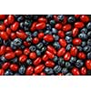 different fresh berries as background. blueberry and dogwood