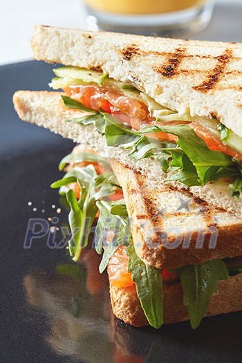 Sandwich with vegetables on the plate Sandwich with vegetables on the plate