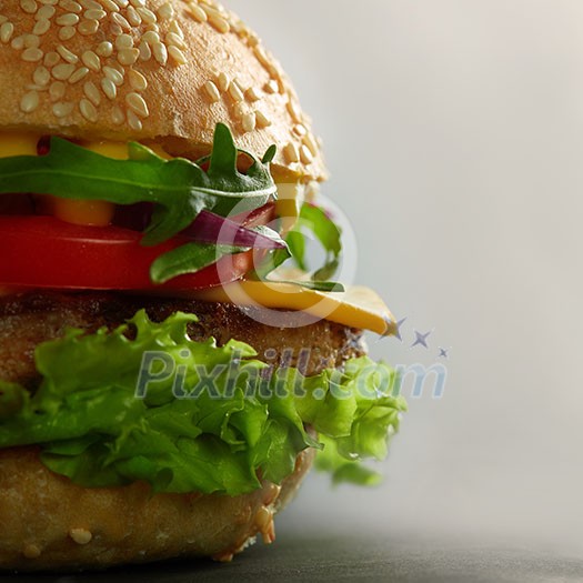 home made tasty burgers isolated on gray background home made tasty burgers isolated on gray background