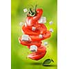 red tomatoes, mozzarella and basil isoalted on white - caprese, traditional italian ingrindients, top view