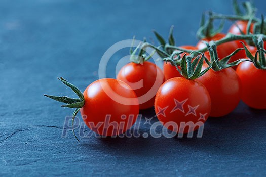 Ripe fresh cherry tomatoes on branch Isolated on blue background Ripe fresh cherry tomatoes on branch Isolated on blue background