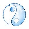 Two water splashes forming the shape of a Yin Yang sign isolated on white background