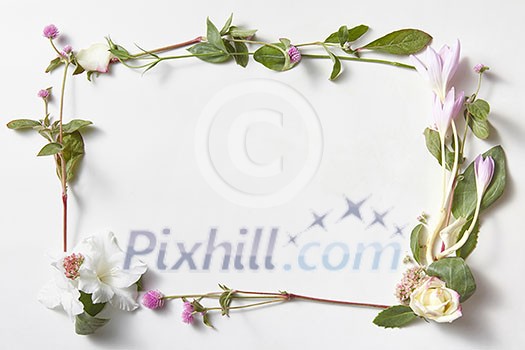 flowers frame with space for text in white background isolated flowers frame with space for text in white background isolated