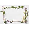 flowers frame with space for text in white background isolated