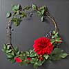 round frame of branches and flower and copycpase for text on black background