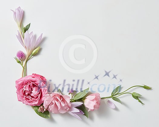 beautiful roses frame with space for text in white background beautiful roses frame with space for text in white background