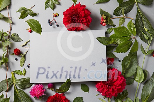 Beautiful spring floral frame on a gray background is made of red flowers with a special place for your text Beautiful spring floral frame on a gray background is made of red flowers with a special place for your text