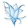 blue flower made of water splash isolated on white background