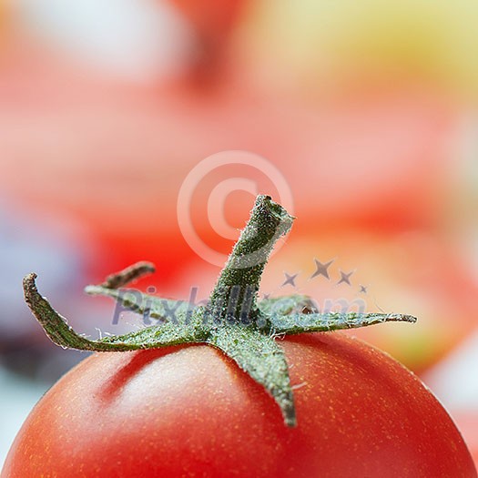 Red fresh tomato with green tail close-up Red fresh tomato with green tail close-up