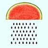 Watermelon slice with seeds raining on light blue background. Flat lay. Weather concept.