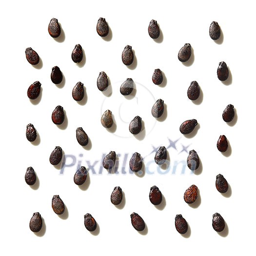 rain of seeds of watermelon isolated on white background rain of seeds of watermelon isolated on white background
