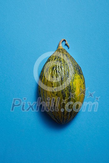 piece of green melon on blue background isolated piece of green melon on blue background isolated
