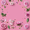 Pink flowers frame on pink background with copy space for greeting message.