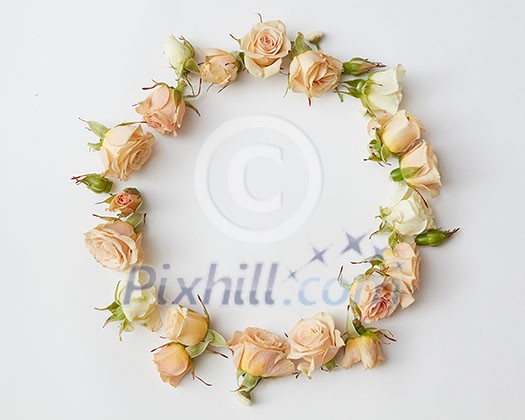 framemade of roses and leaves isolated on a white background, overhead view. Flat lay framemade of roses and leaves isolated on a white background, overhead view. Flat lay