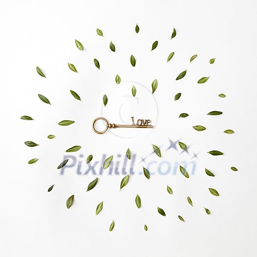 round frame of petals and a key to heart on a white background, Flat lay round frame of petals and a key to heart on a white background, Flat lay