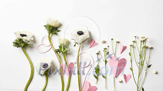 Beautiful flowers and pink hearts on a white background. Postcard to Valentine's Day Beautiful flowers and pink hearts on a white background. Postcard to Valentine's Day