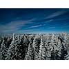 Aerial view of winter forest - trees covered with snow