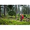 Active senior hiking in high mountains (motion blur technique used to convey movement of the hiker - he is tack sharp, the surroundings is blurred)