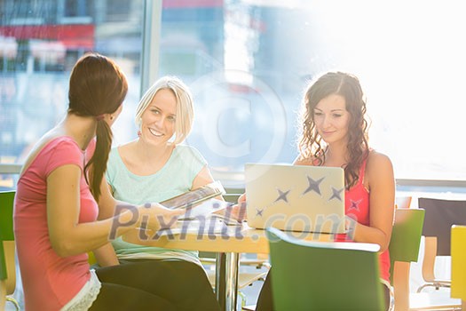 Group of university students studying hard for an exam in a lovely bright sunlit studying room/library Group of university students studying hard for an exam in a lovely bright sunlit studying room/library