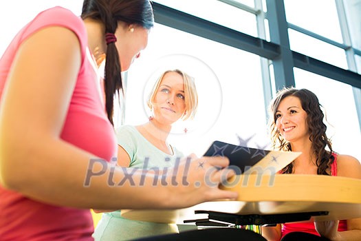 Group of university students studying hard for an exam in a lovely bright sunlit studying room/library Group of university students studying hard for an exam in a lovely bright sunlit studying room/library