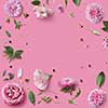 frame of pink flowers on a pink background with space for text