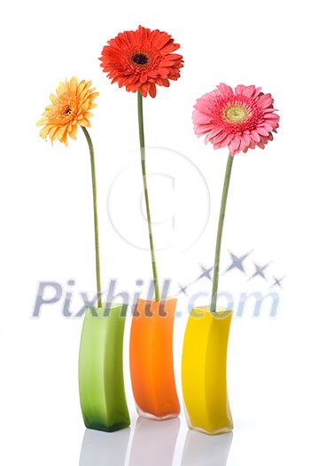 Bouquet from daisy-gerbera in glass vase isolated on white Bouquet from daisy-gerbera in glass vase isolated on white