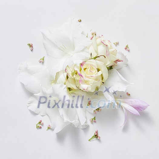 white background from flowers of rose and lilac white background from flowers of rose and lilac