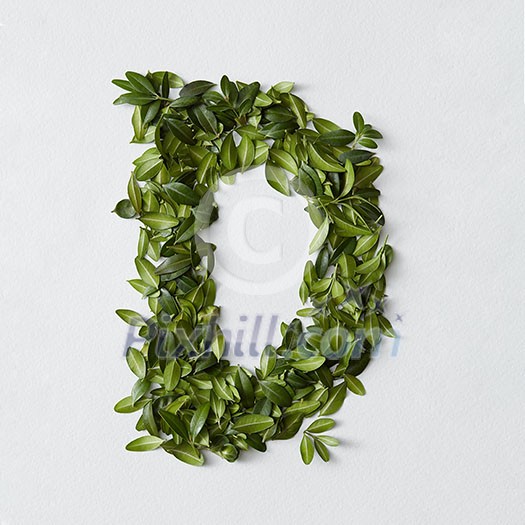 English alphabet concept. Alphabet isolated on white background. Abc letters from green leaves. Letter D represented with green leaves. Symbol D on white. English alphabet concept. Alphabet isolated on white background. Abc letters from green leaves. Letter D represented with green leaves. Symbol D on white.