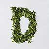 English alphabet concept. Alphabet isolated on white background. Abc letters from green leaves. Letter D represented with green leaves. Symbol D on white.