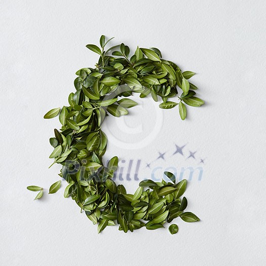 English alphabet concept. Alphabet isolated on white background. Abc letters from green leaves. Letter C represented with green leaves. Symbol C on white. English alphabet concept. Alphabet isolated on white background. Abc letters from green leaves. Letter C represented with green leaves. Symbol C on white.