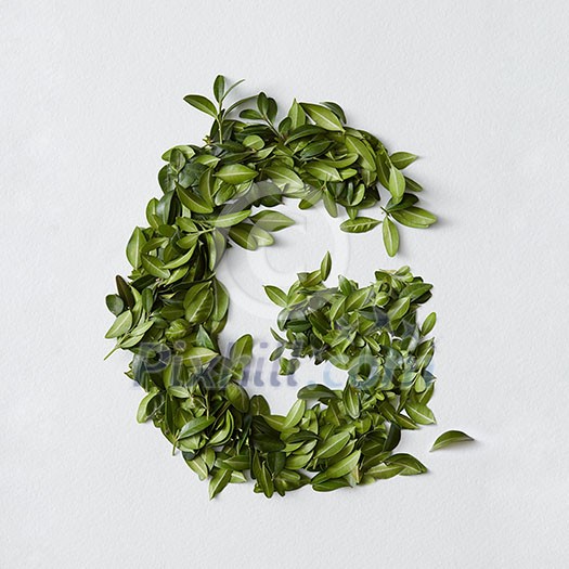English alphabet concept. Alphabet isolated on white background. Abc letters from green leaves. Letter G represented with green leaves. Symbol G on white. English alphabet concept. Alphabet isolated on white background. Abc letters from green leaves. Letter G represented with green leaves. Symbol G on white.