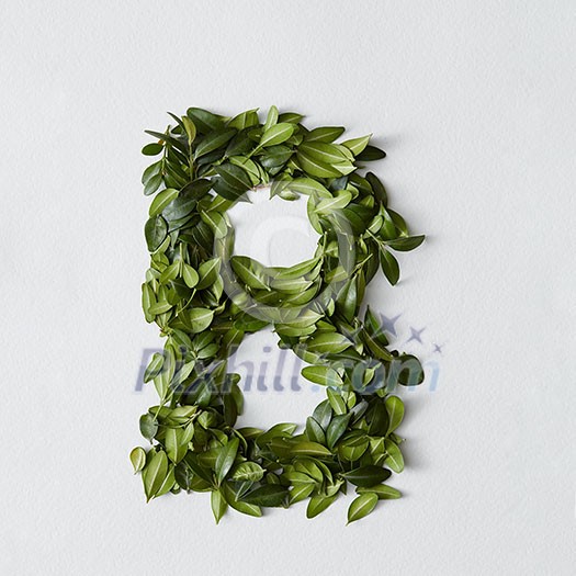 English alphabet concept. Alphabet isolated on white background. Abc letters from green leaves. Letter B represented with green leaves. Symbol B on white. English alphabet concept. Alphabet isolated on white background. Abc letters from green leaves. Letter B represented with green leaves. Symbol B on white.