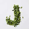 English alphabet concept. Alphabet isolated on white background. Abc letters from green leaves. Letter J represented with green leaves. Symbol J on white.